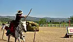 Sındırgı'da sınırları aşan Atlı Okçuluk yarışması