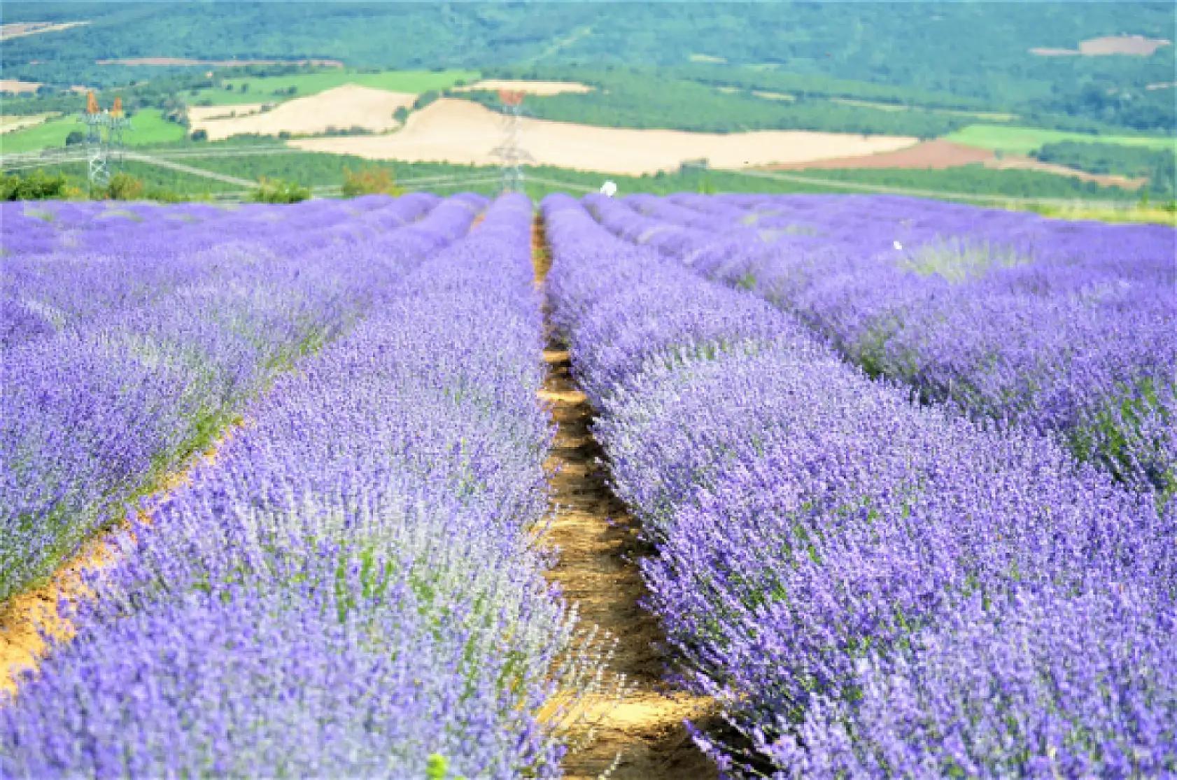 İstanbul'un stresinden kaçan soluğu burada alıyor