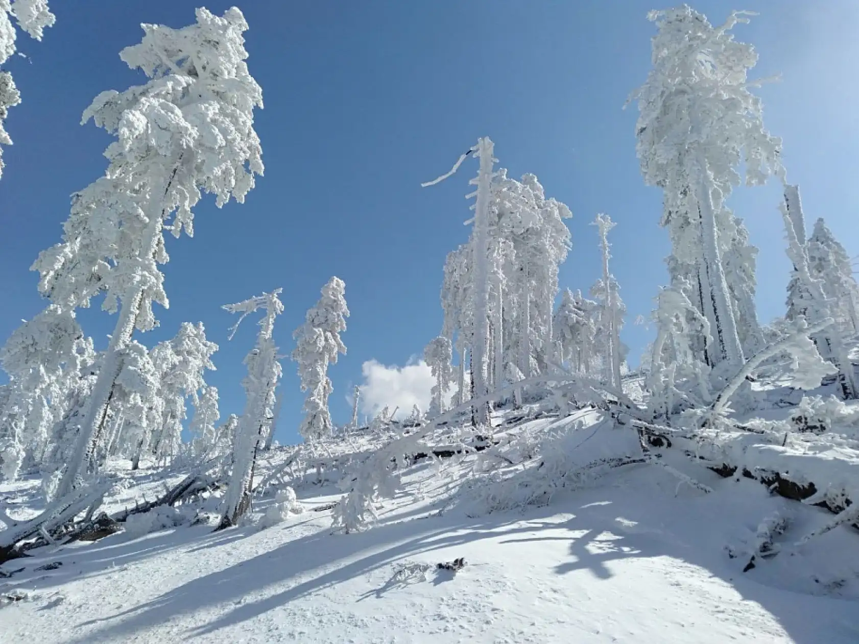 Karlı Kazdağları'ndan masalsı görüntüler