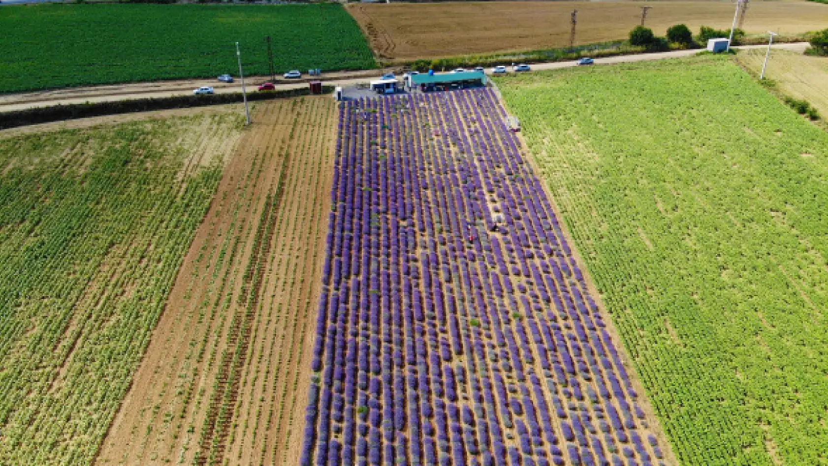 İstanbul'un stresinden kaçan soluğu burada alıyor