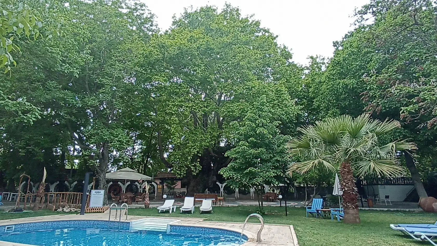 Kazdağları'nın eteklerindeki 400 yıllık anıt ağaçlar turizme kazandırılıyor