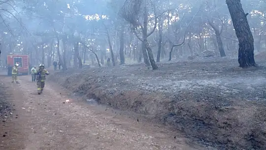 Balıkesir'de gece boyunca çıkan 3 orman yangını söndürüldü