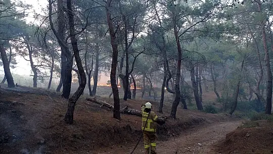 Balıkesir'de gece boyunca çıkan 3 orman yangını söndürüldü