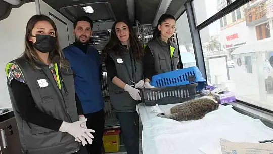 Balıkesir'de sokak hayvanlarına VETBÜS şefkati