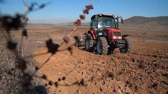 Balıkesir'de süt otu tohumu toprakla buluştu
