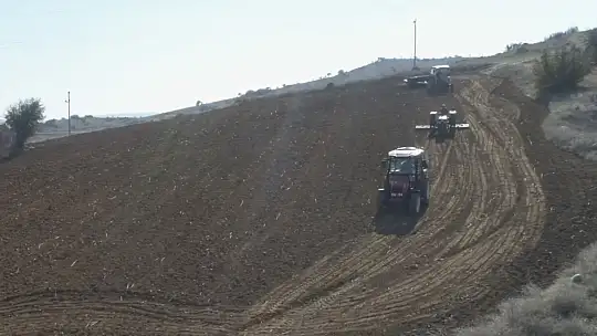 Balıkesir'de süt otu tohumu toprakla buluştu