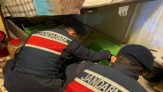 Balıkesir merkezli FETÖ operasyonu: 67 gözaltı
