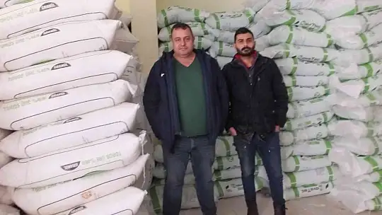 Burhaniye'de zeytinde gübreleme başladı