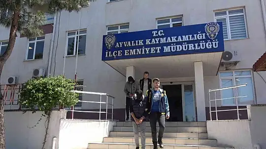 Çaldıkları 32 oğlağı bir otomobile sığdıran hırsızlar Ayvalık polisinden kaçamadı