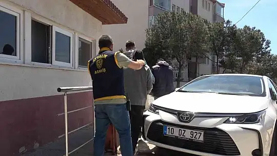 Çaldıkları 32 oğlağı bir otomobile sığdıran hırsızlar Ayvalık polisinden kaçamadı