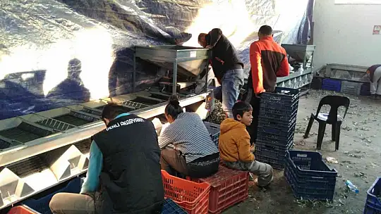 Erdek Zeytin kooperatifinden elek desteği