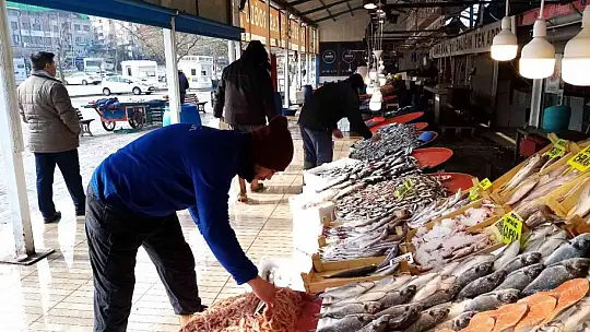 Hamsinin kulağına kar suyu kaçtı
