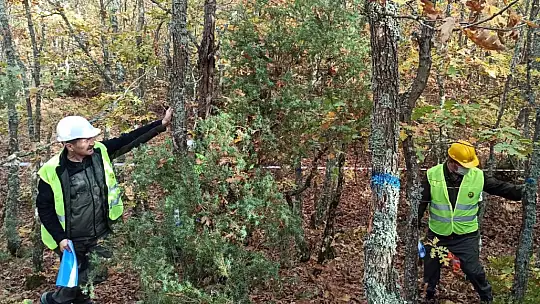 Ormanlarda uygulamalı eğitim