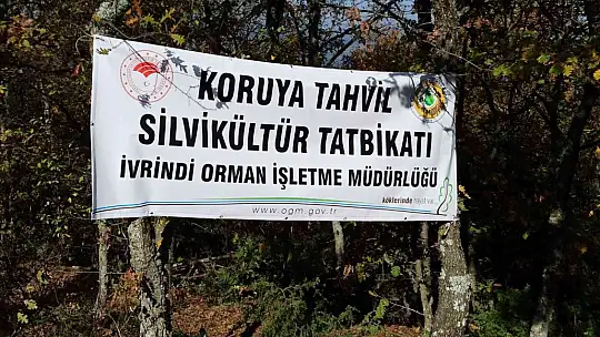Ormanlarda uygulamalı eğitim