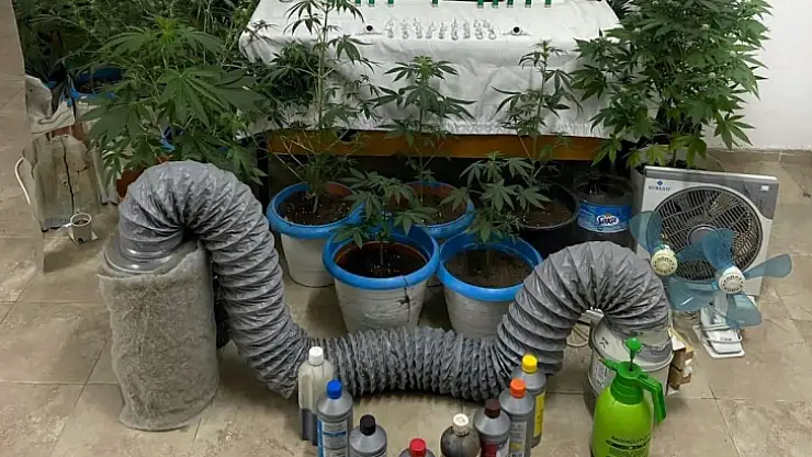 Ayvalık'ta uyuşturucu operasyonu