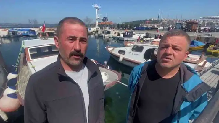 Çanakkale Boğazı'nda yaklaşık 300 kilogram ağırlığında köpek balığı yakaladılar